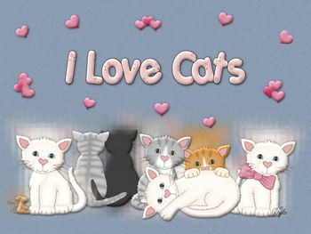 cat-lover-pink-hearts.jpg